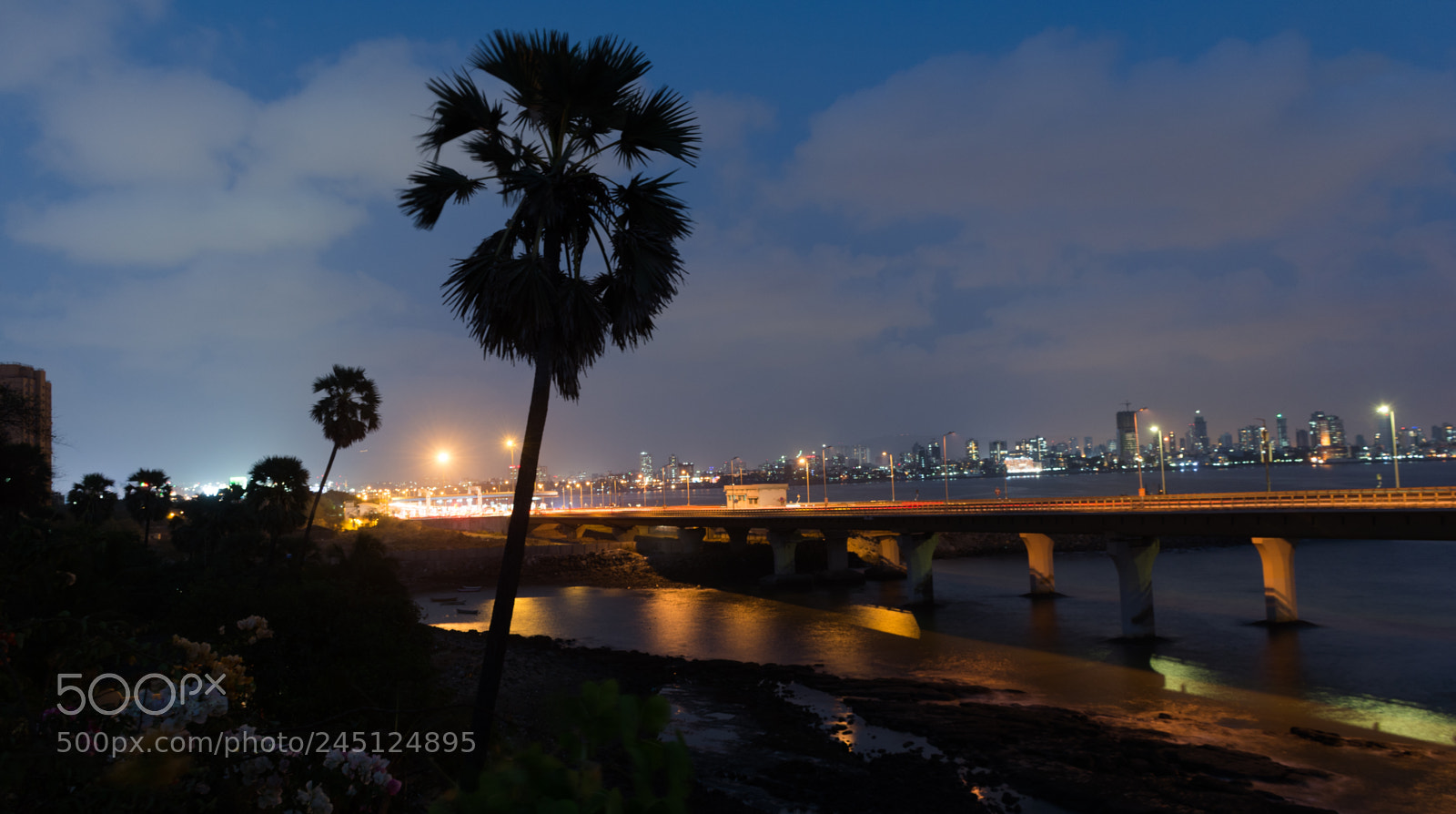 Nikon D5200 sample photo. Night view of sealink photography
