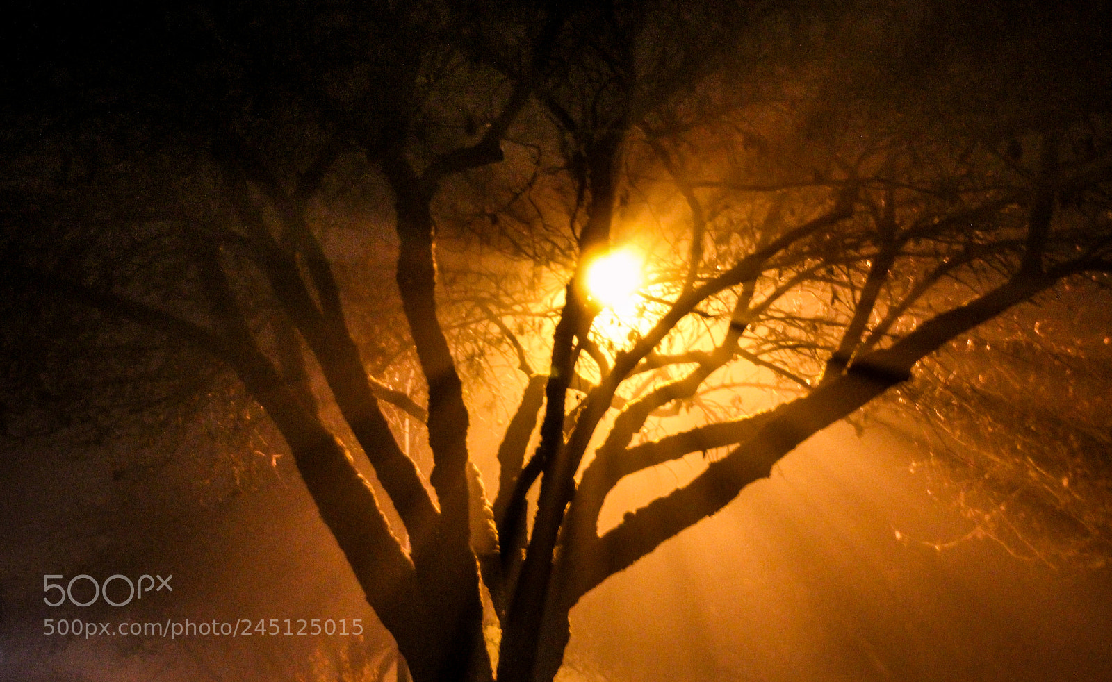 Canon EOS 600D (Rebel EOS T3i / EOS Kiss X5) sample photo. Street light in the photography