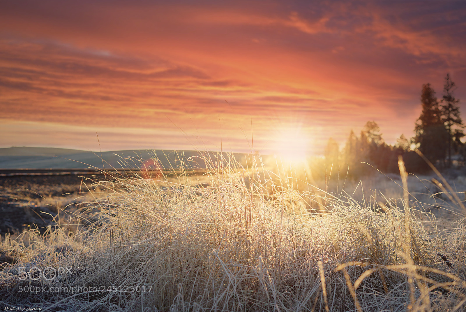 Sony a7 II sample photo. Worley idaho sunset photography