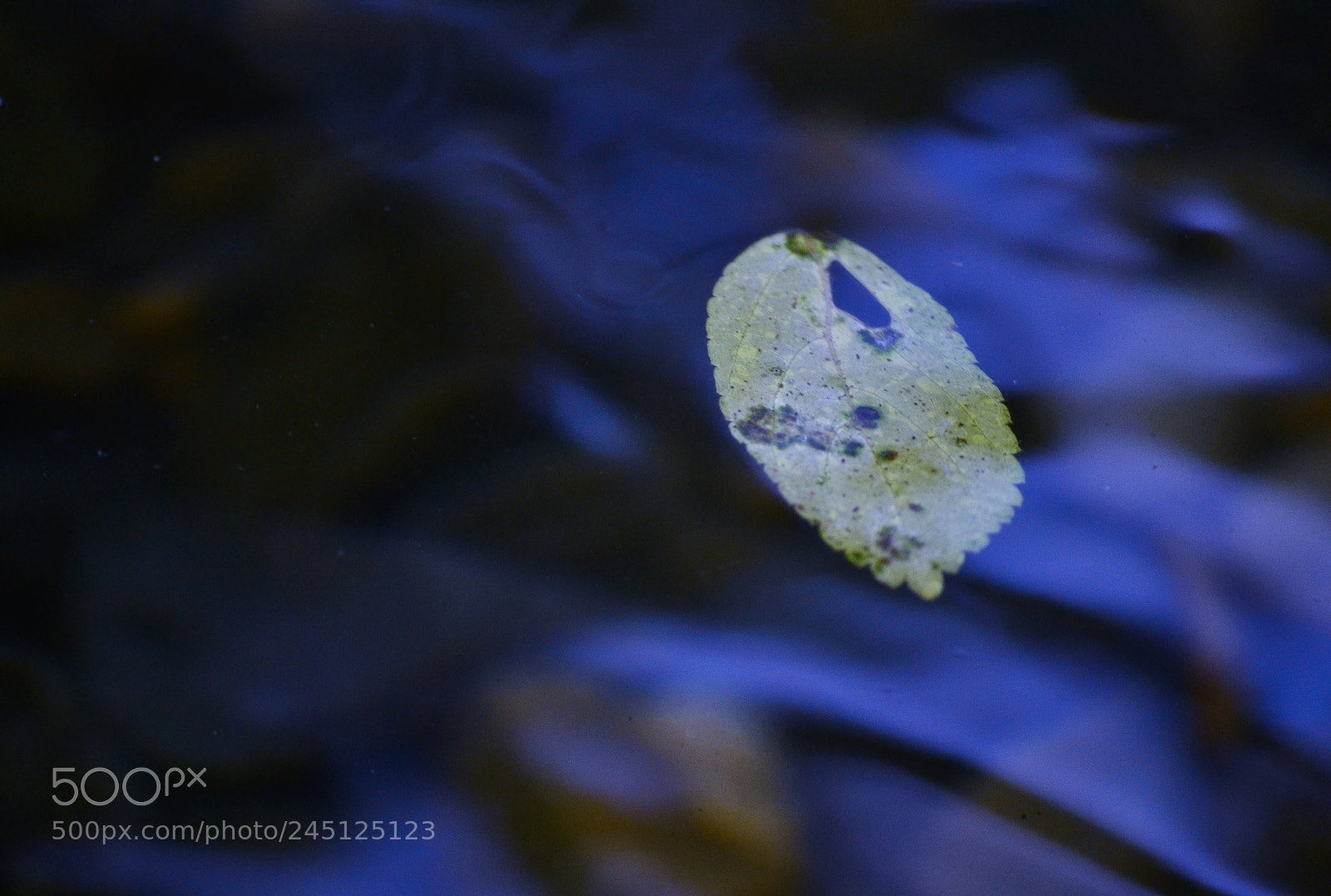 Nikon D3100 sample photo. Untitled photography