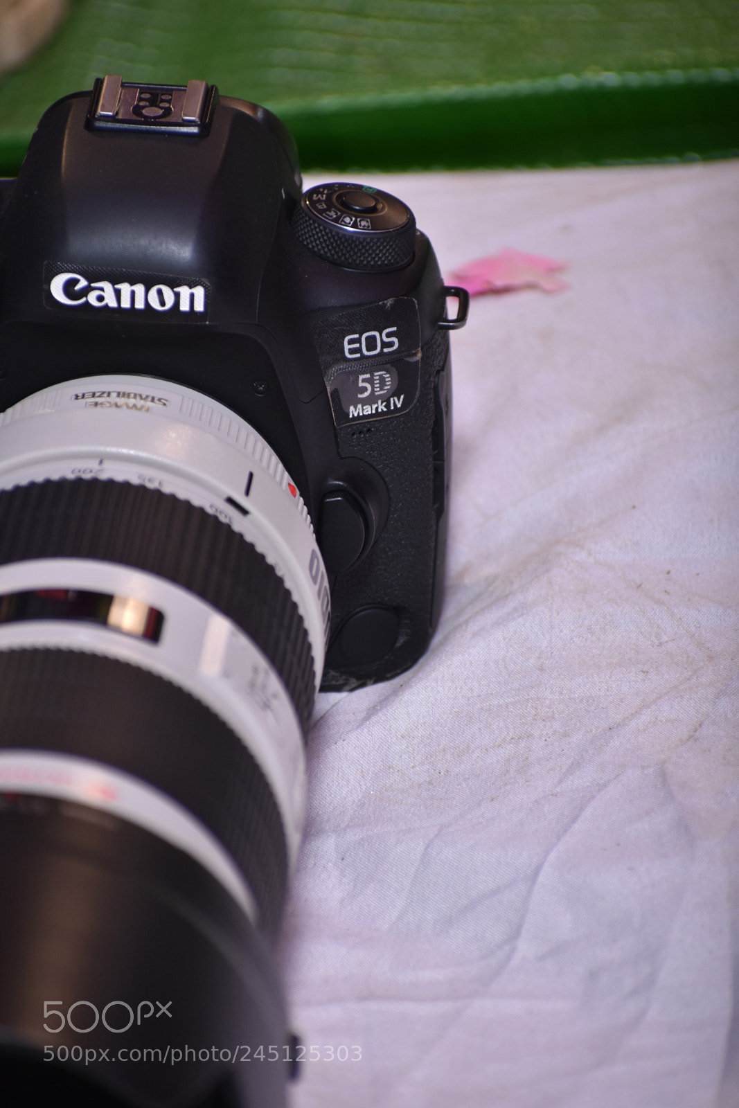 Nikon D3400 sample photo. Dream of every photographer photography