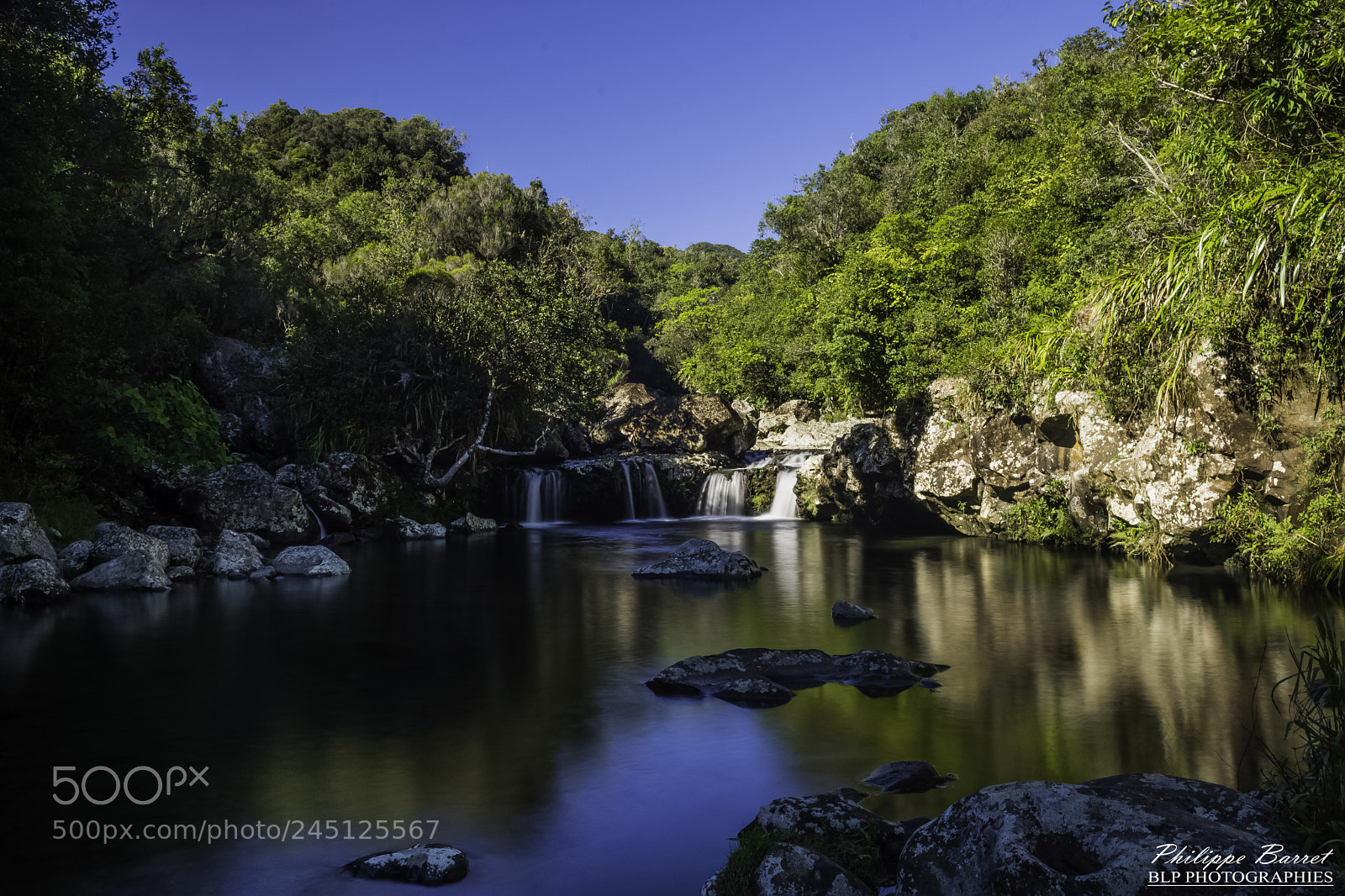 Nikon D7200 sample photo. Bras laurent photography