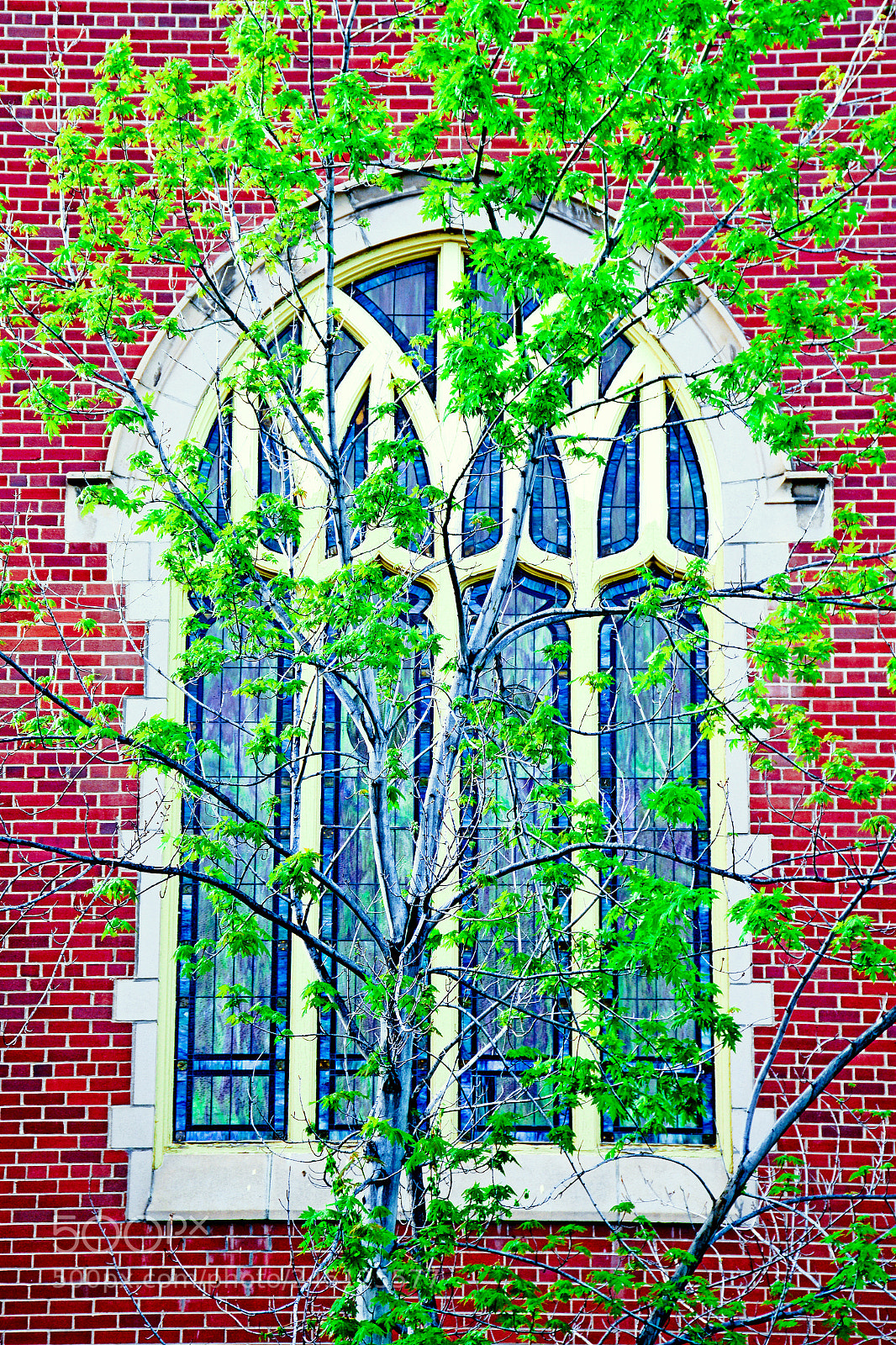 Nikon D7100 sample photo. Stained glass in spring photography