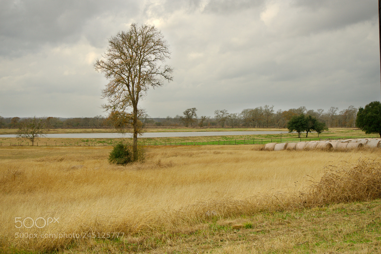 Sony a6300 sample photo. Farm photography