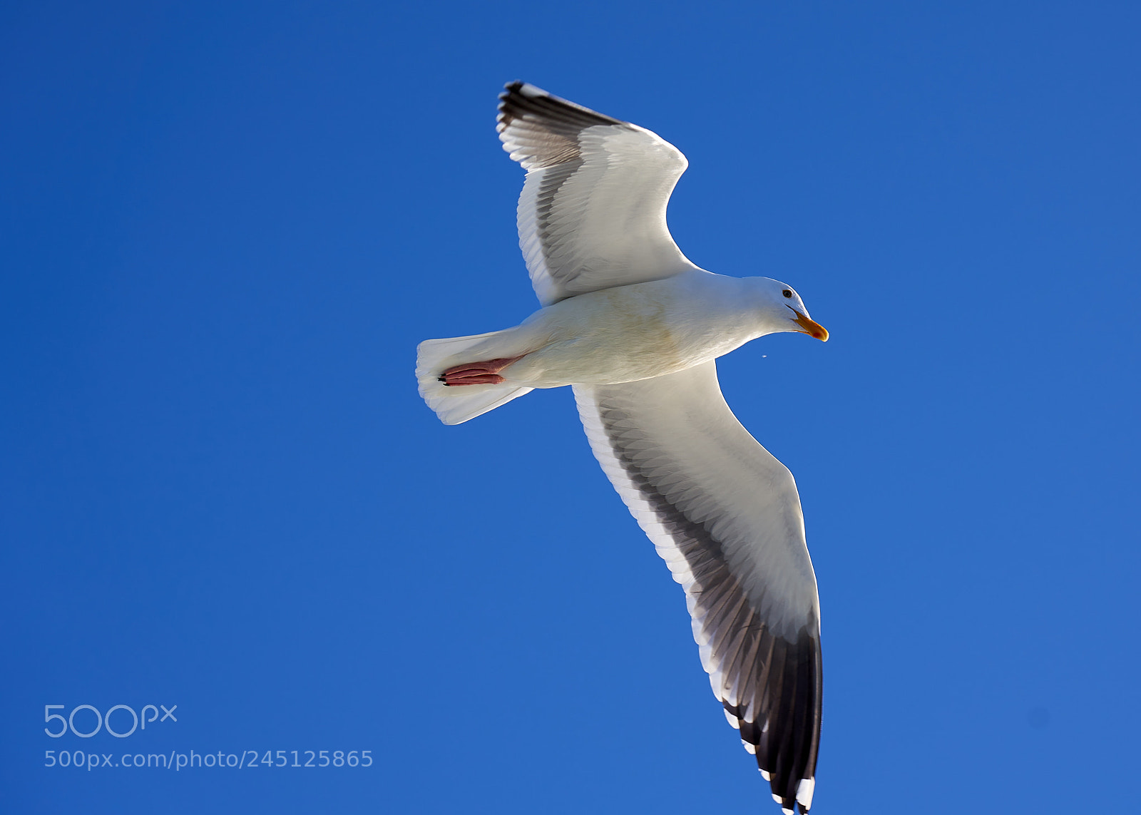 Sony a7R III sample photo. Jpeg quality full size photography