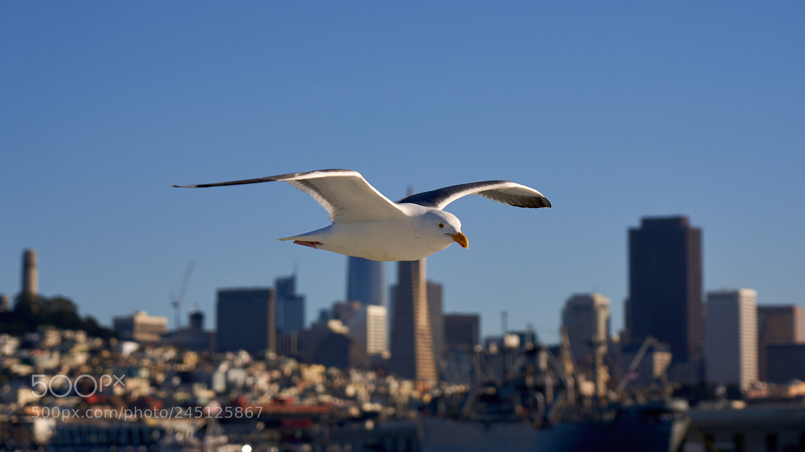 Sony a7R III sample photo. Jpeg quality full size photography
