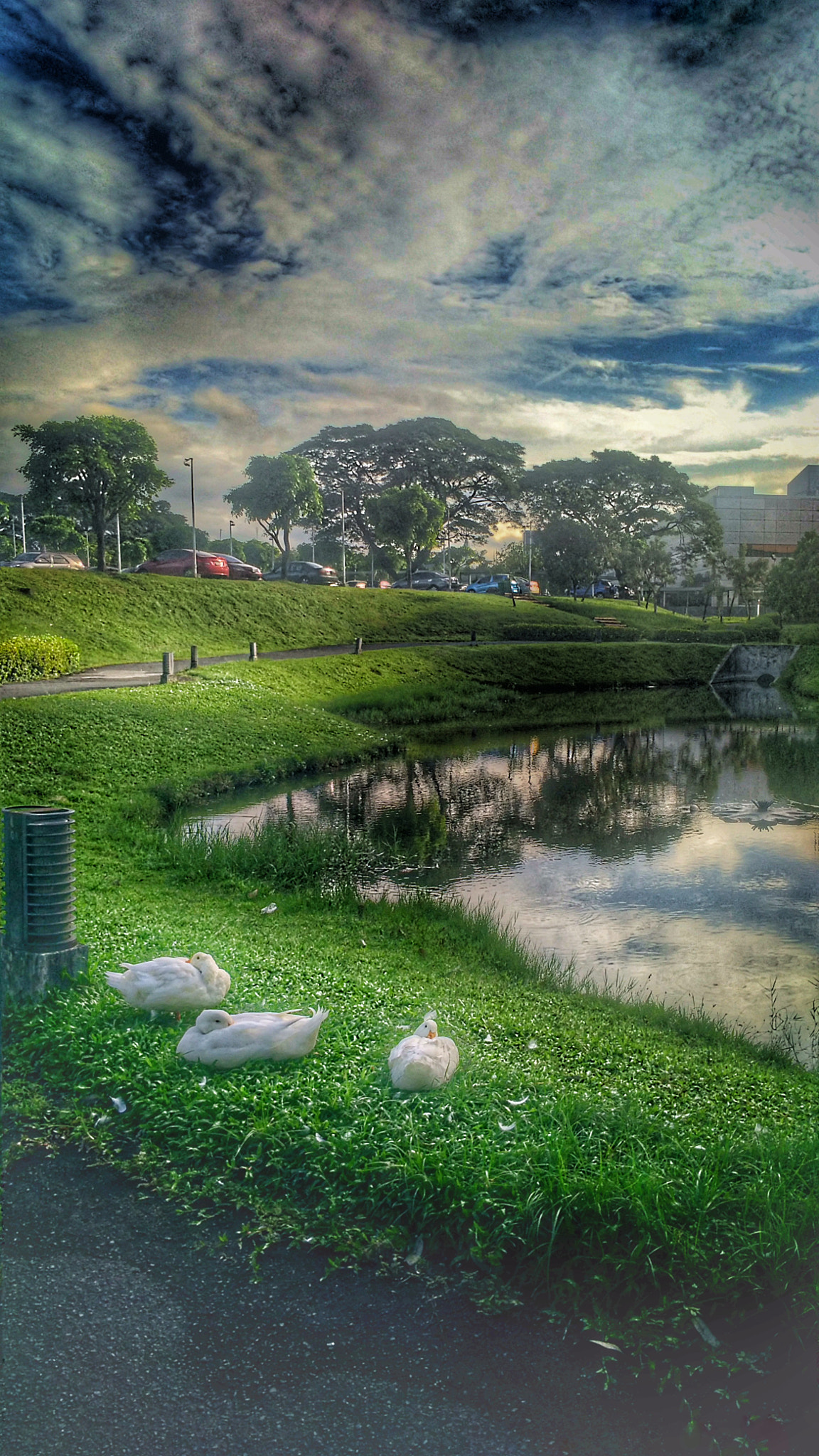 ASUS ZenFone 3 Laser (ZC551KL) sample photo. The pond photography