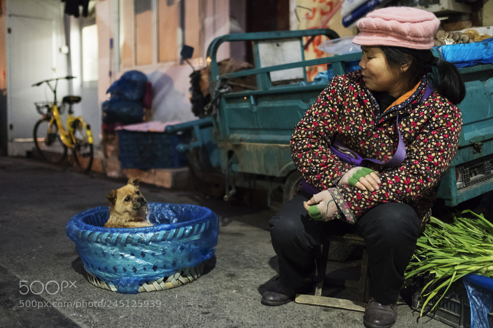 Fujifilm X-T2 sample photo. Untitled photography