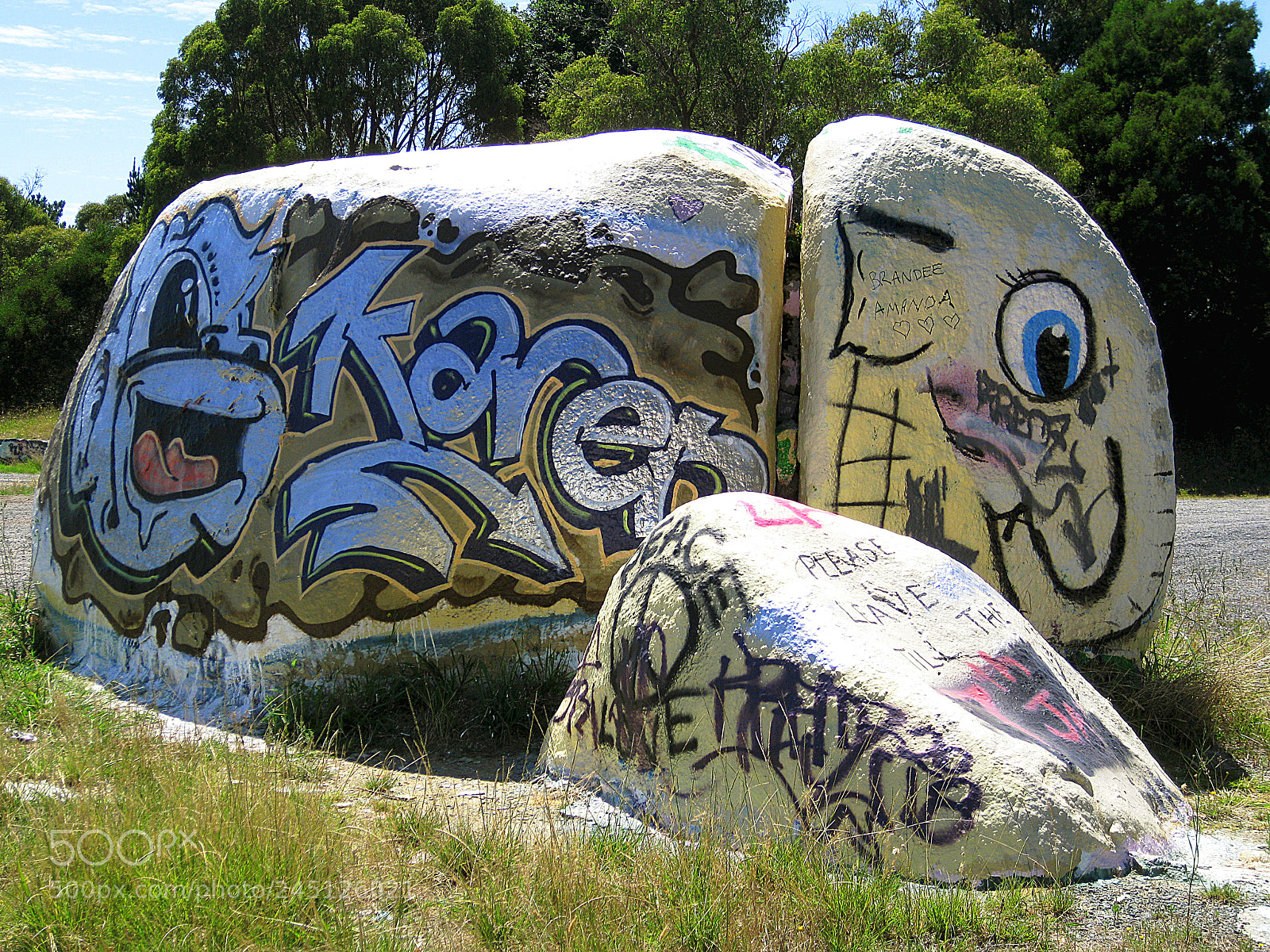 Canon DIGITAL IXUS 960 IS sample photo. Graffiti rock elephant photography