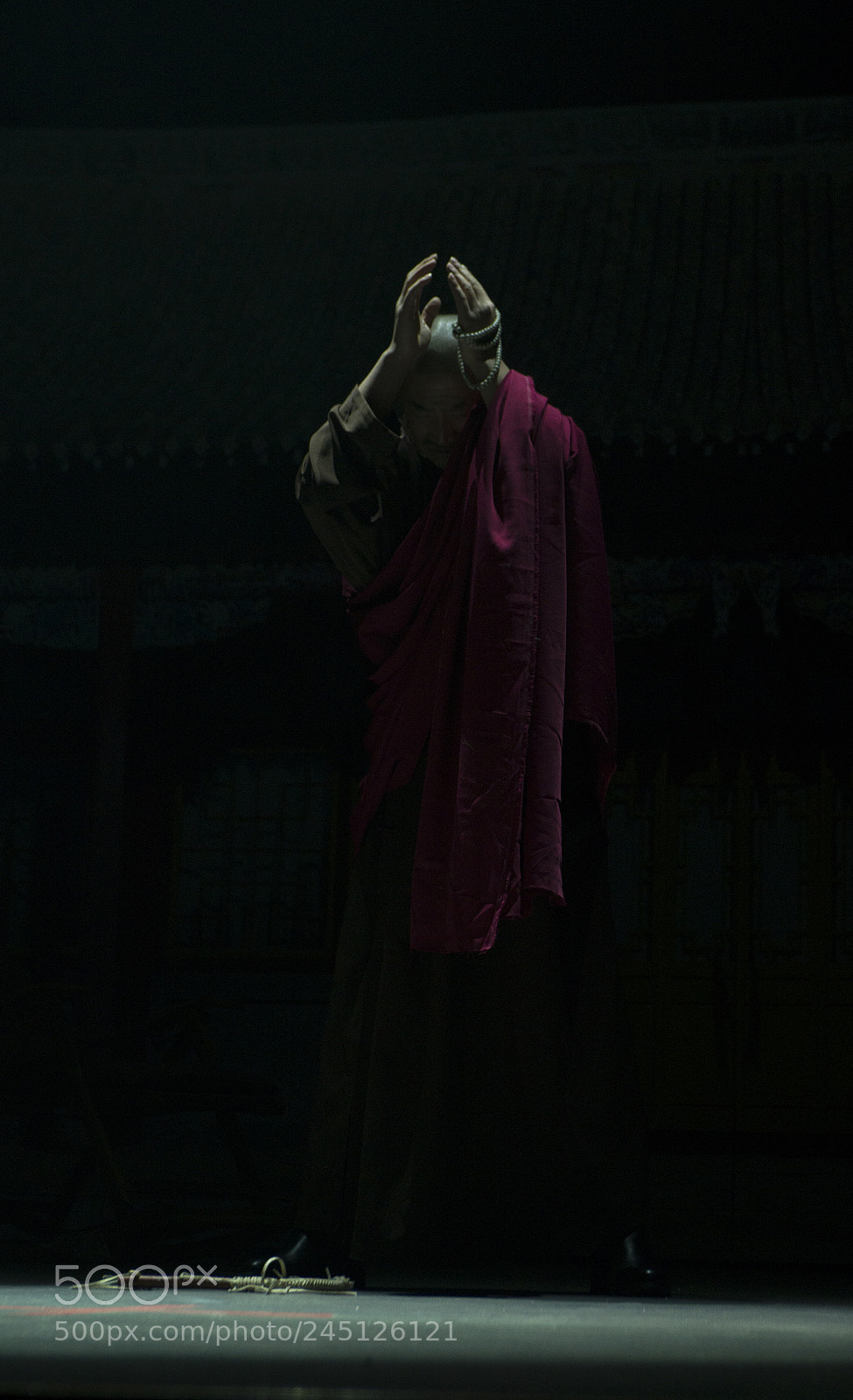 Nikon D800 sample photo. The monk in the photography