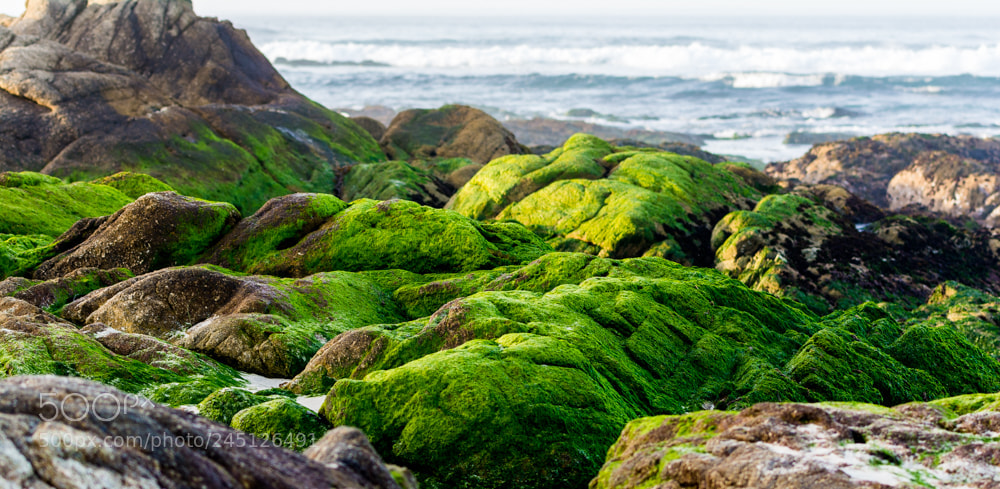 Nikon D7100 sample photo. Beach side photography