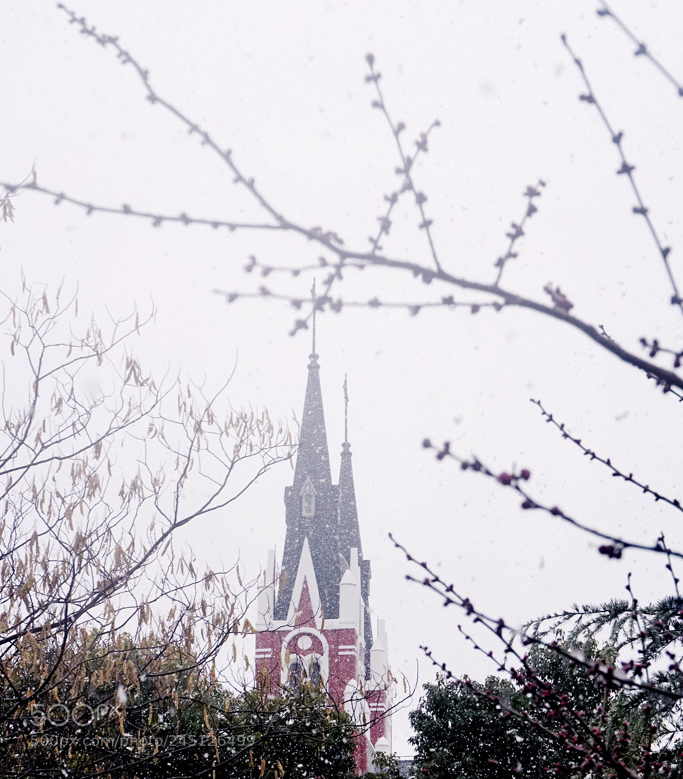 Sony a6300 sample photo. Snowing photography