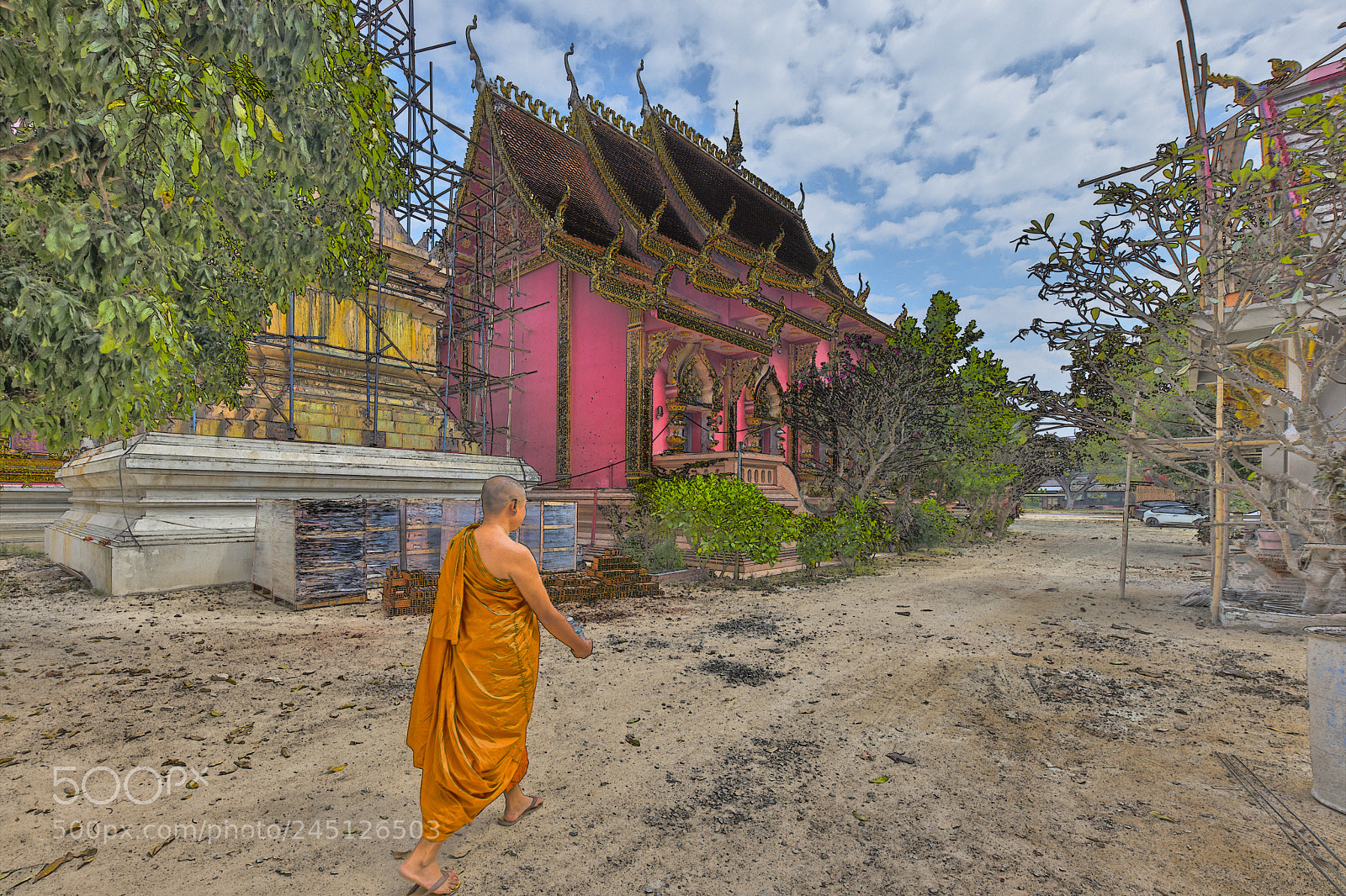 Nikon D850 sample photo. Bonze photography
