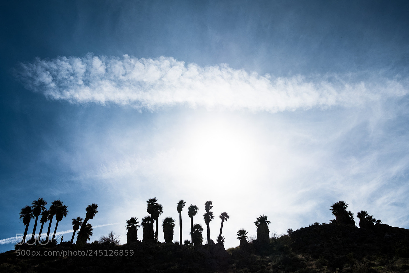 Fujifilm X-T2 sample photo. Palm canyon, ca photography