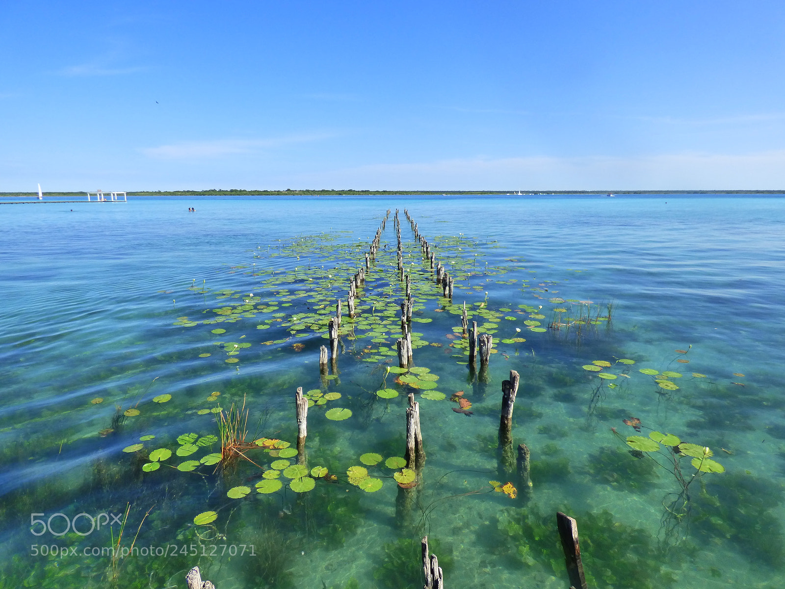 Panasonic Lumix DMC-FZ70 sample photo. Laguna de bacalar quintana photography