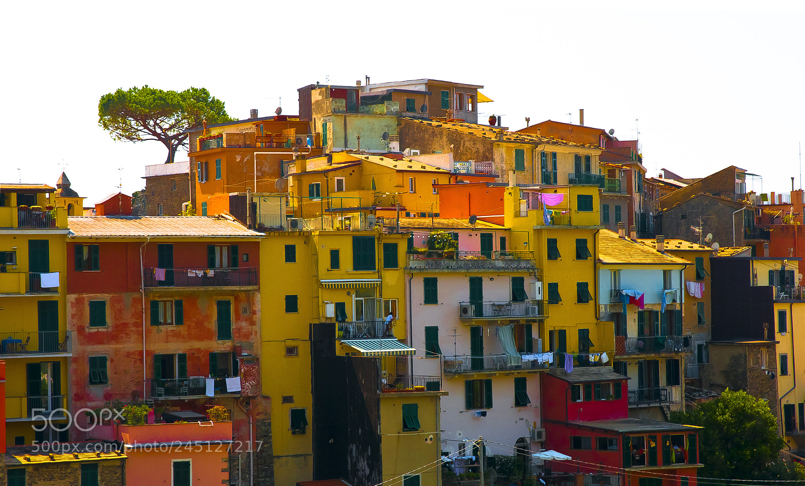 Nikon D300S sample photo. Vernazza profile photography