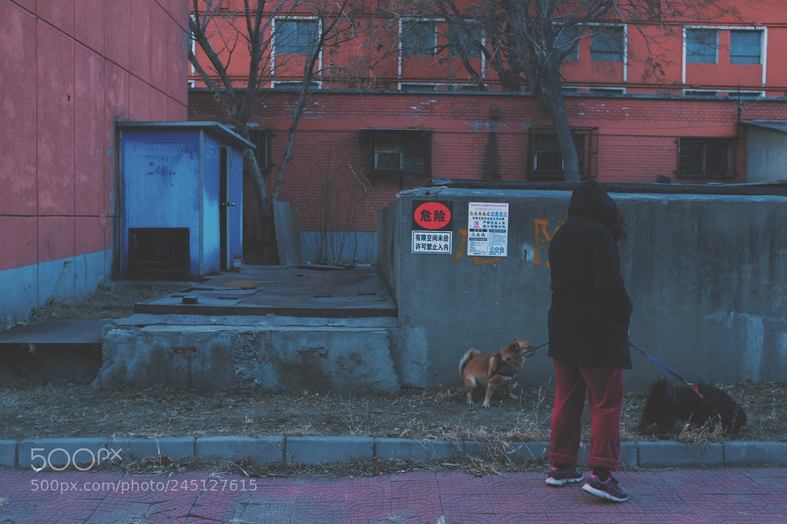 Fujifilm X100F sample photo. Untitled photography