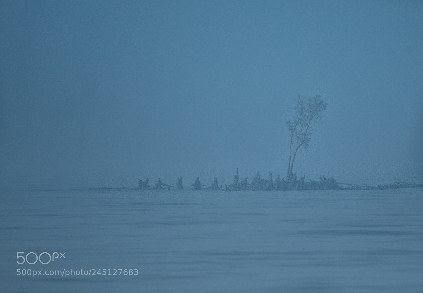 Nikon D500 sample photo. Moon light photography