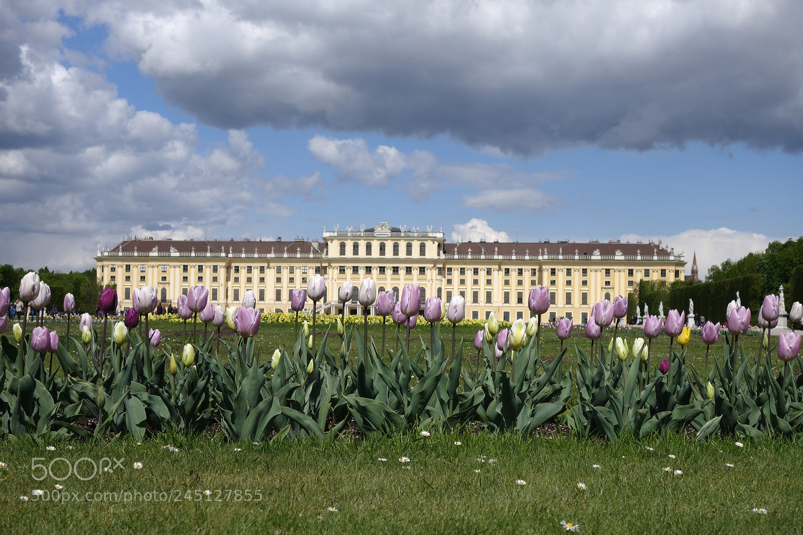 Sony Cyber-shot DSC-RX100 II sample photo. Schönbrunn palace, vienna photography