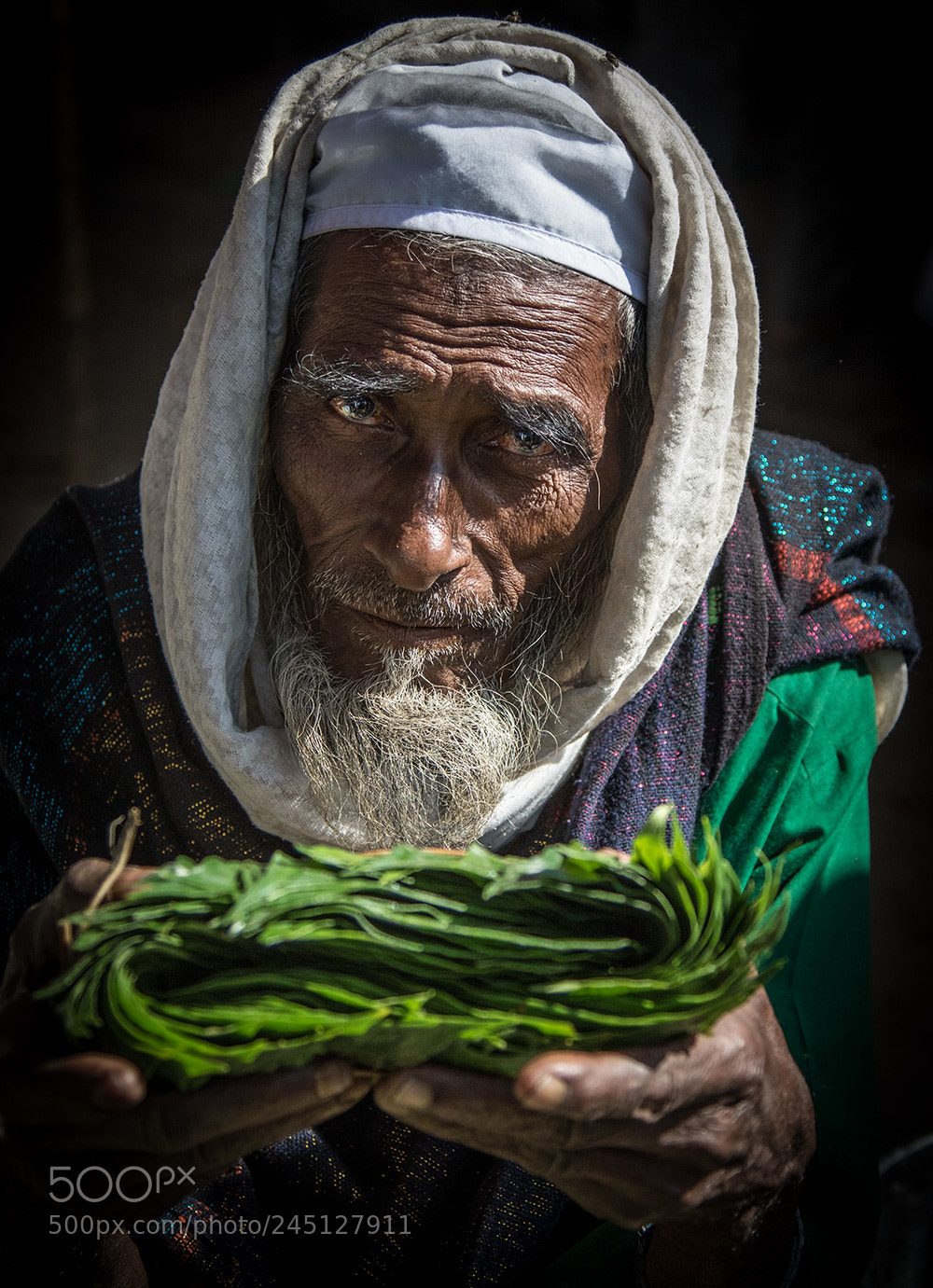 Canon EOS 7D Mark II sample photo. Old man selling betel photography