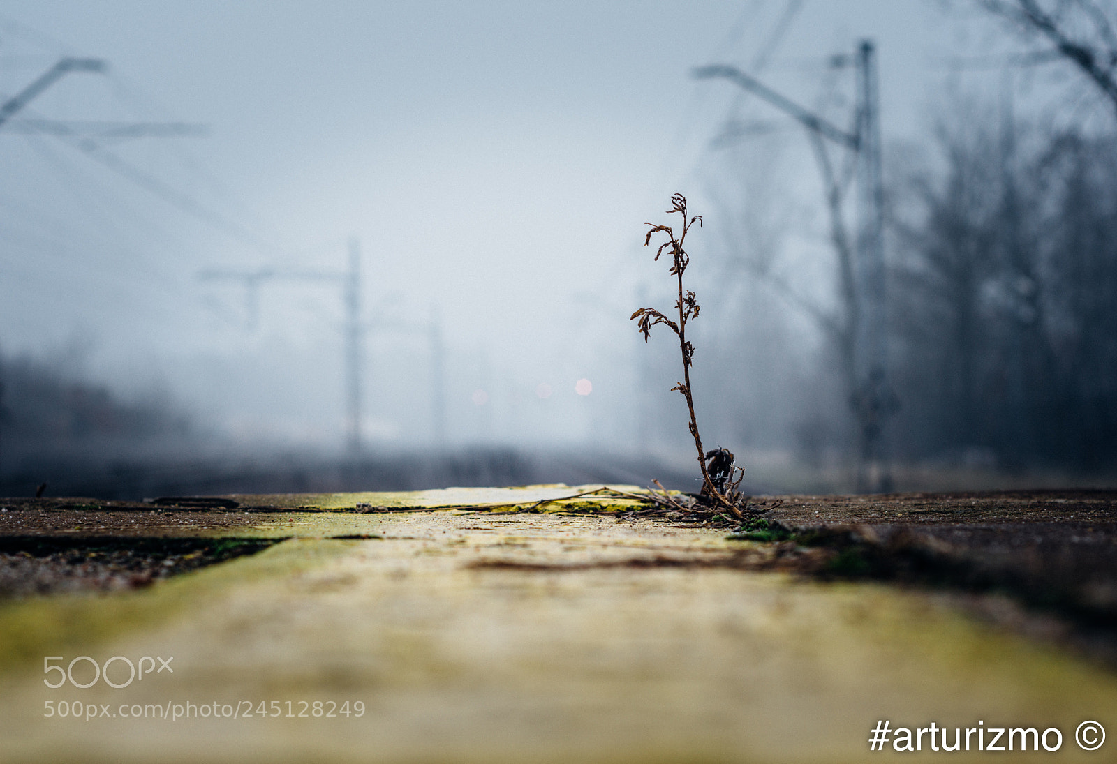 Nikon D7200 sample photo. I am waiting photography
