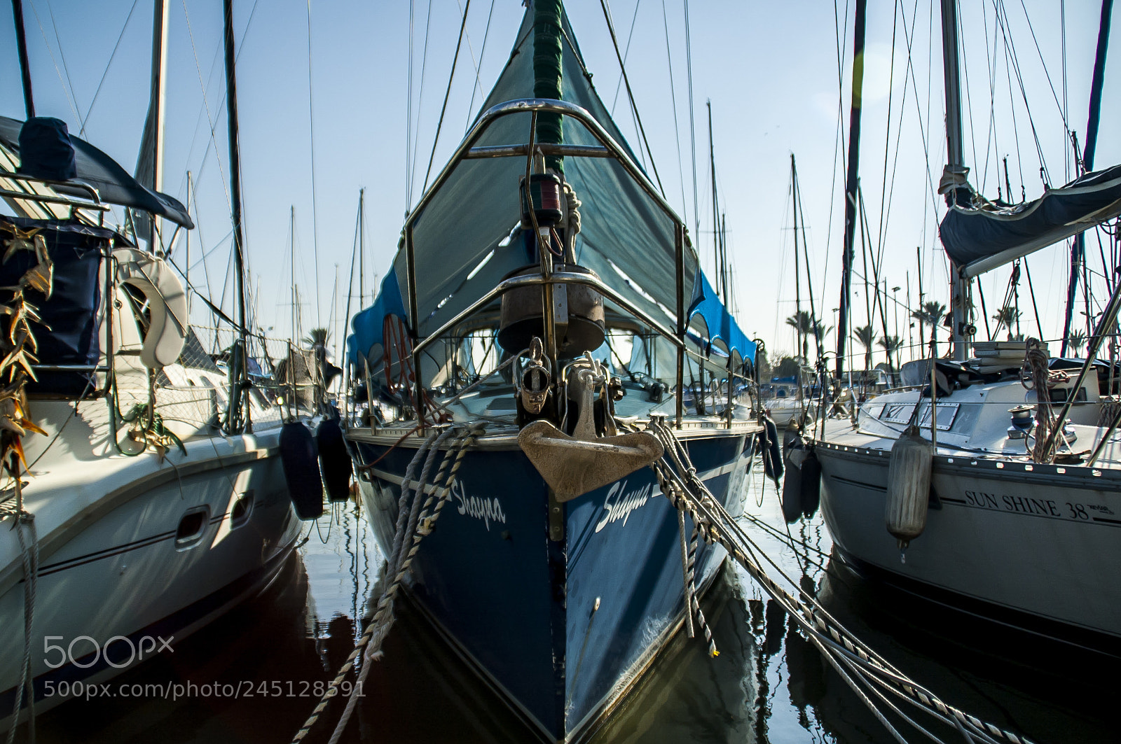 Nikon D50 sample photo. Boat sharp front photography