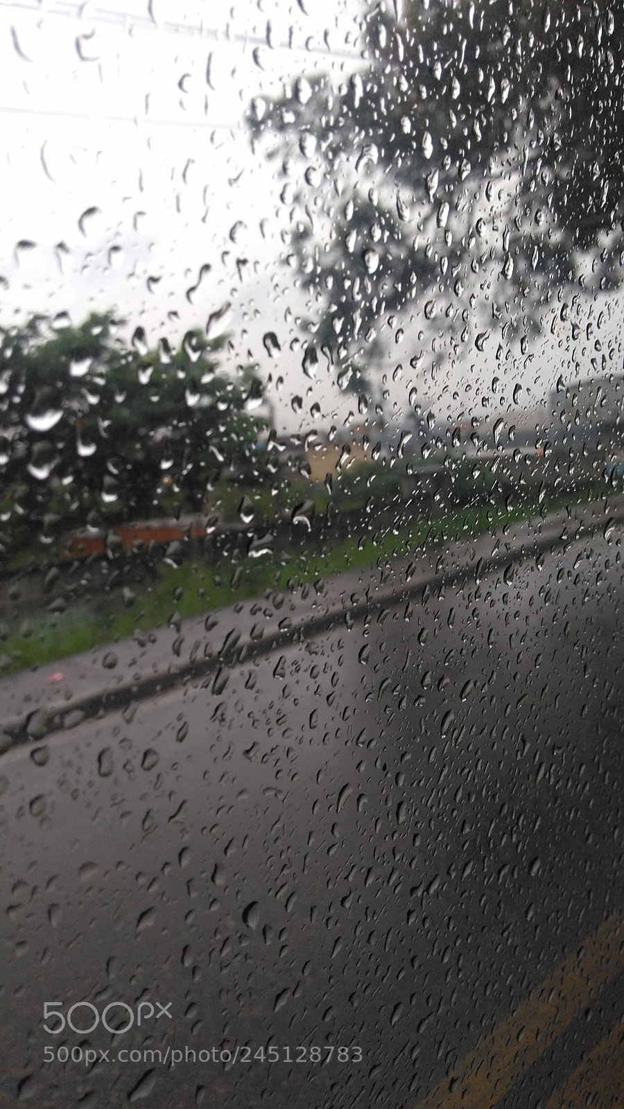 Motorola Moto G Play sample photo. Untitled photography