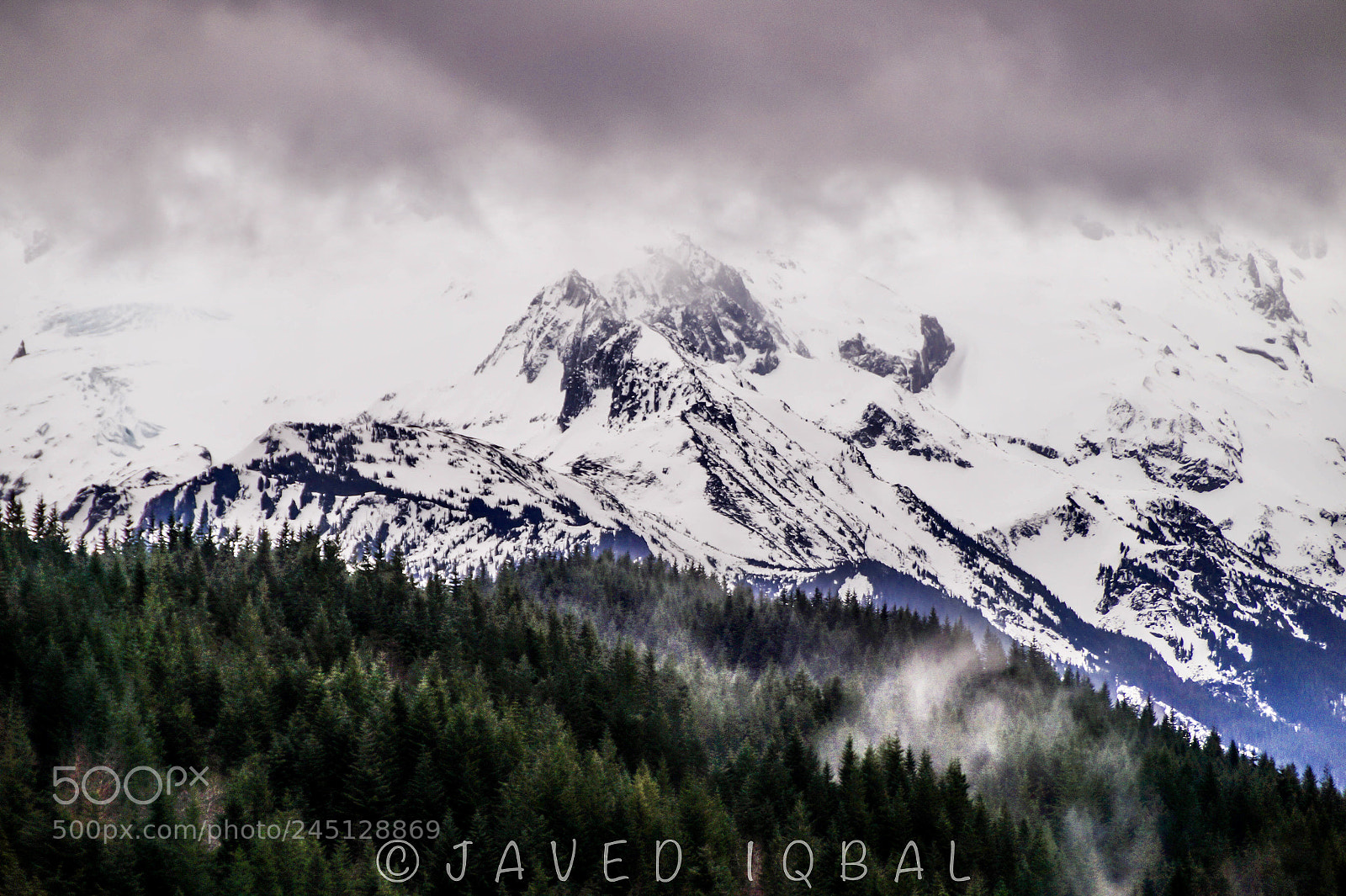 Sony SLT-A58 sample photo. The huge mount rainier photography