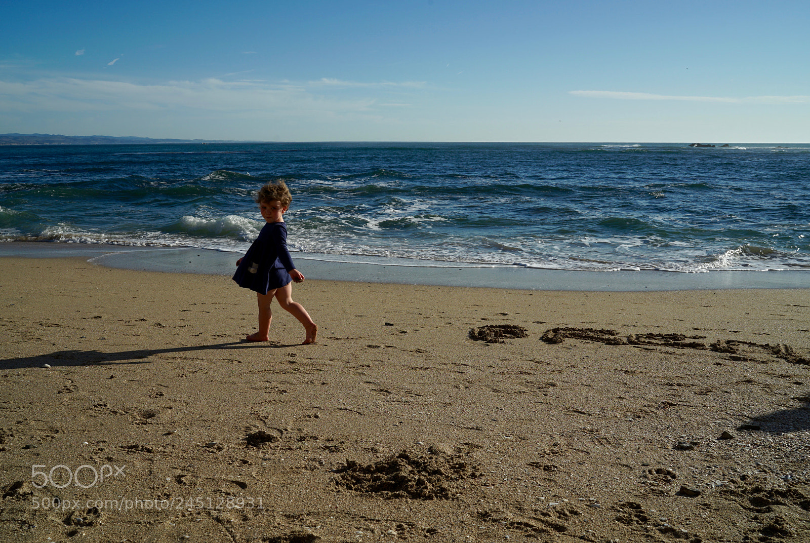 Sony a7 II sample photo. Dsc photography