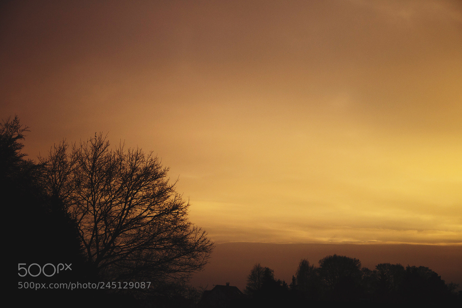 Nikon D3100 sample photo. Golden sky photography