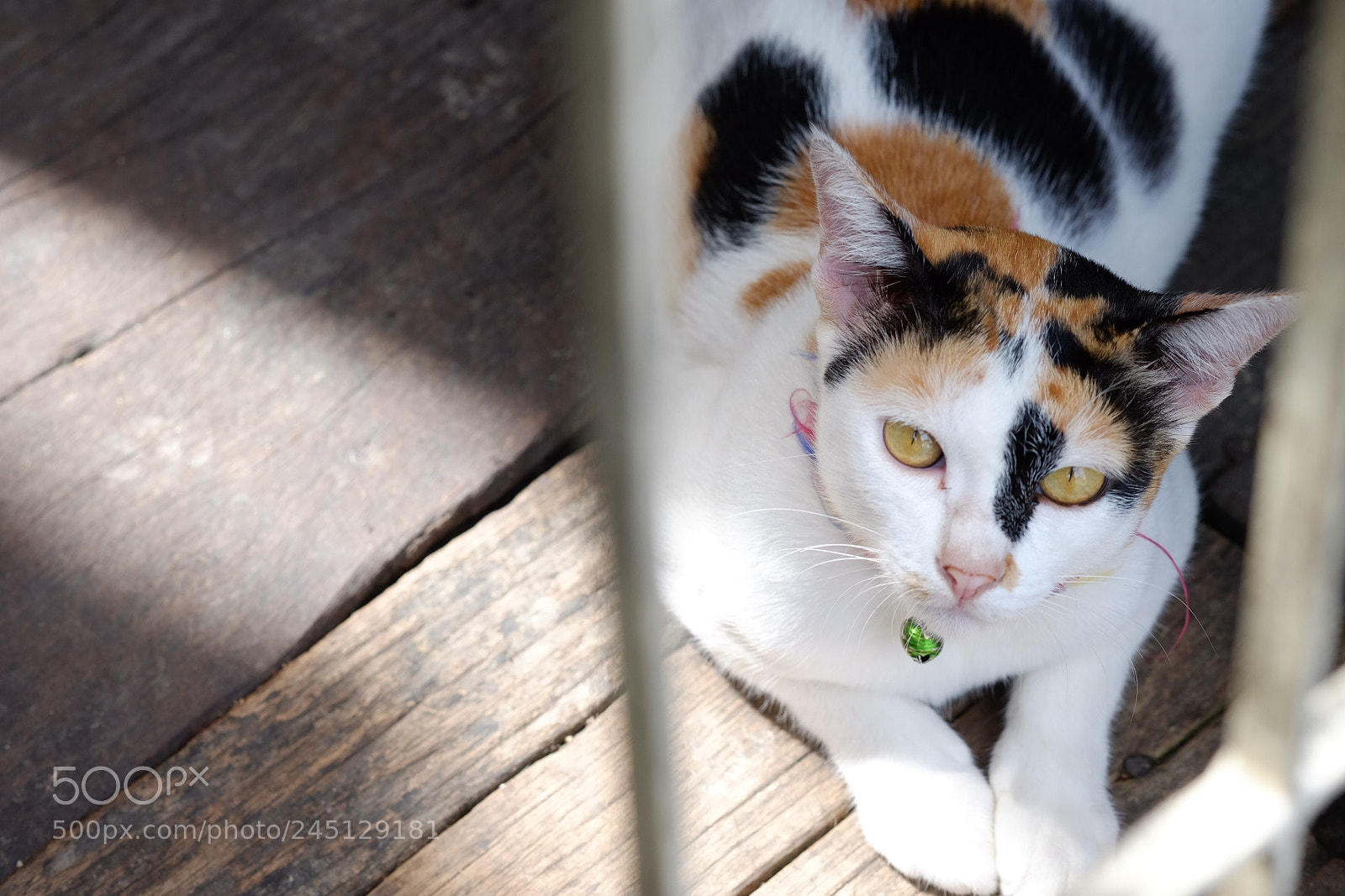 Fujifilm X-E2 sample photo. Untitled photography