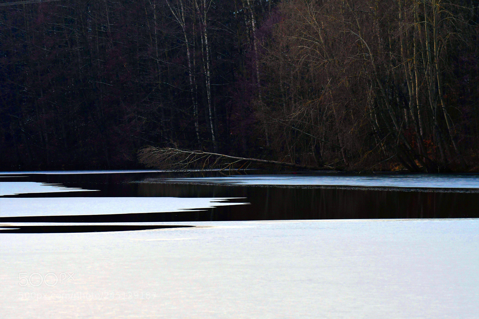 Nikon D500 sample photo. Es wird kallt... photography