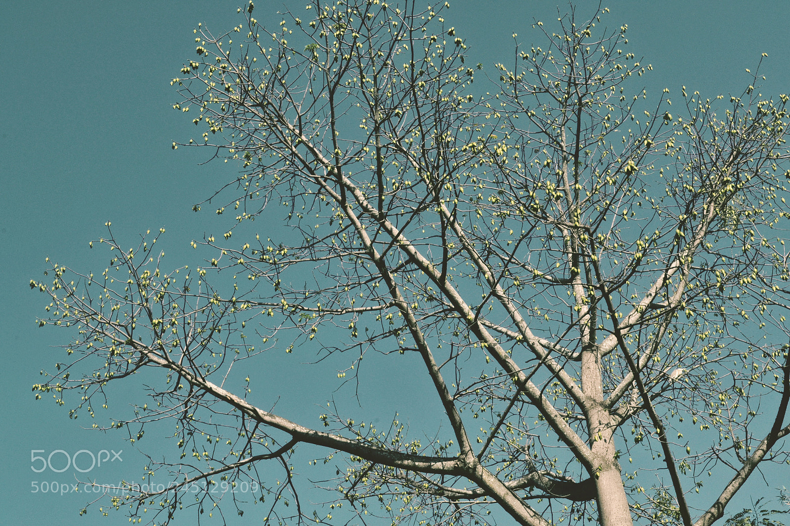 Nikon D3100 sample photo. (edited) photography
