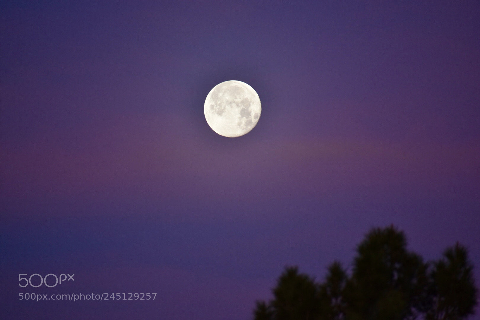 Nikon D3400 sample photo. Full moon minutes before photography