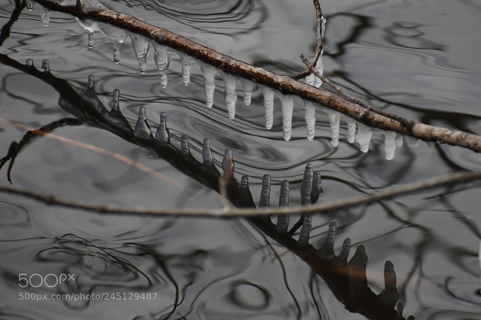 Nikon D3400 sample photo. Untitled photography