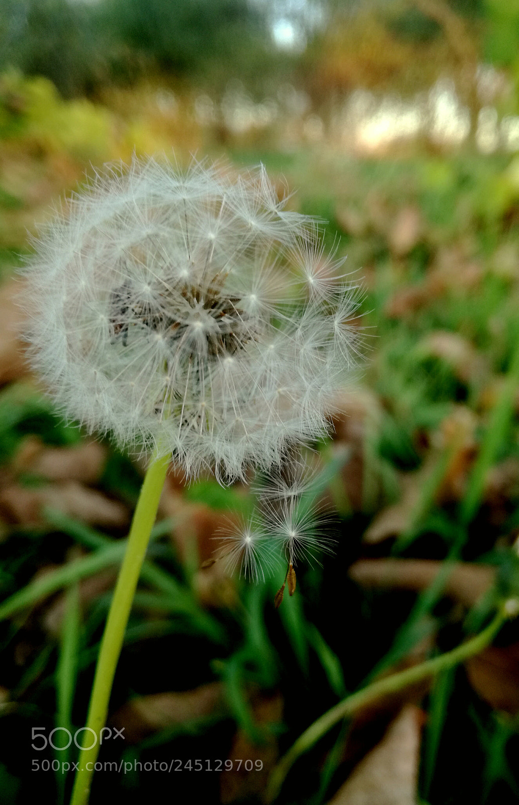 HUAWEI P9 LITE sample photo. Gravity photography