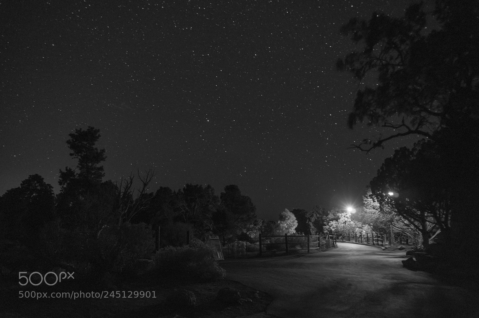Sony Alpha NEX-5R sample photo. Grand canyon at night photography