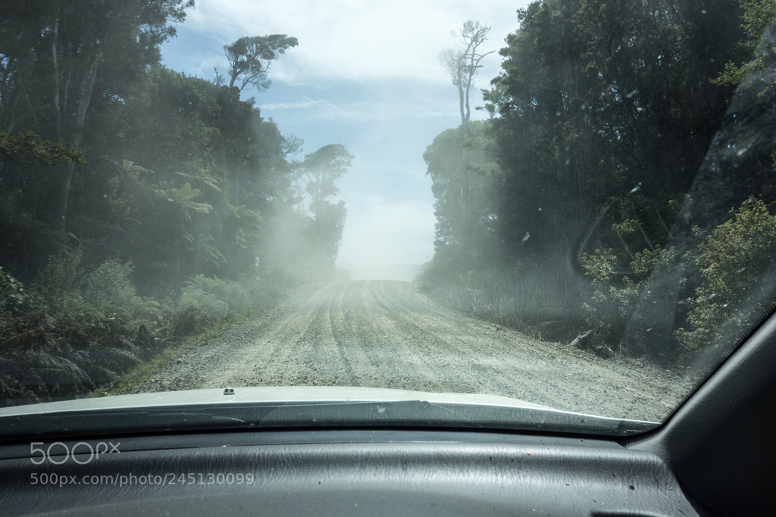 Sony Cyber-shot DSC-RX100 sample photo. Forest and dust photography
