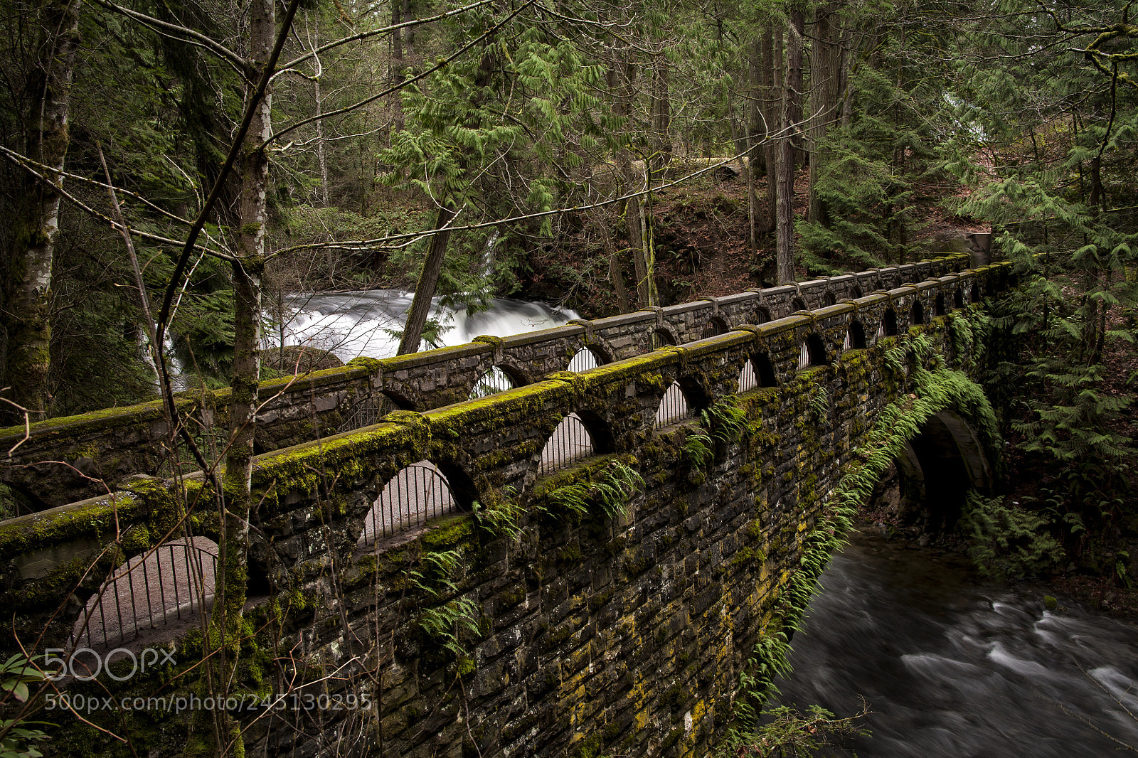 Canon EOS 5D sample photo. Whatcom falls bridge photography