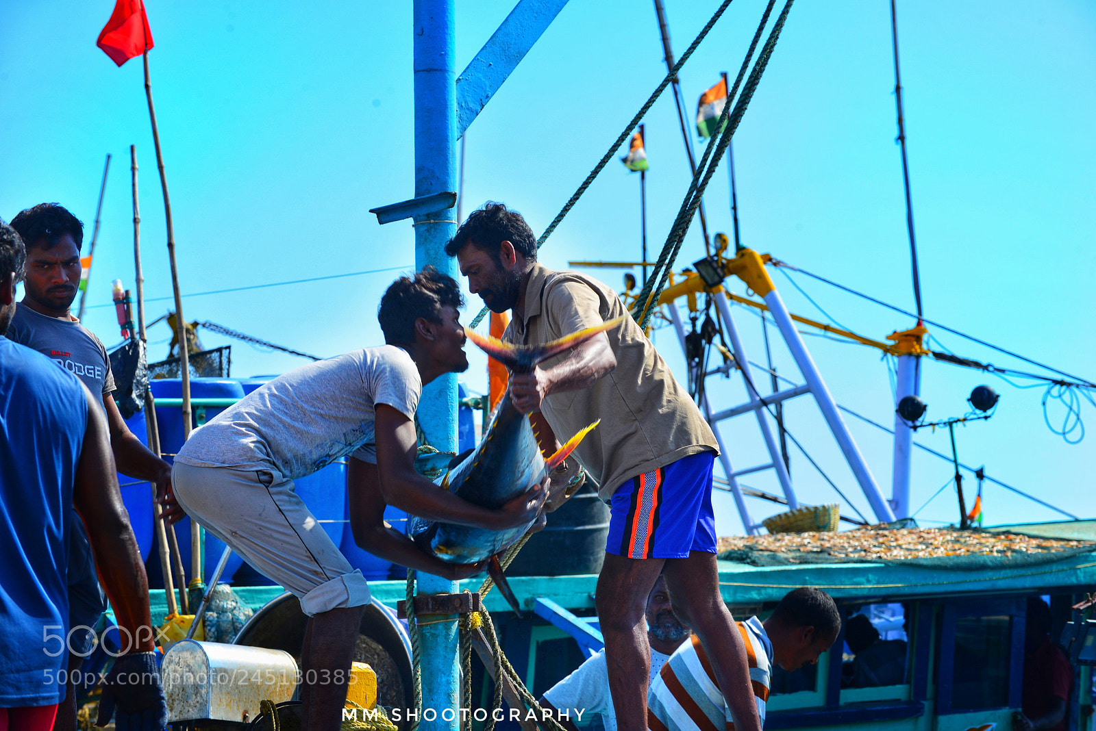 Nikon D610 sample photo. Just arrived fresh catch photography