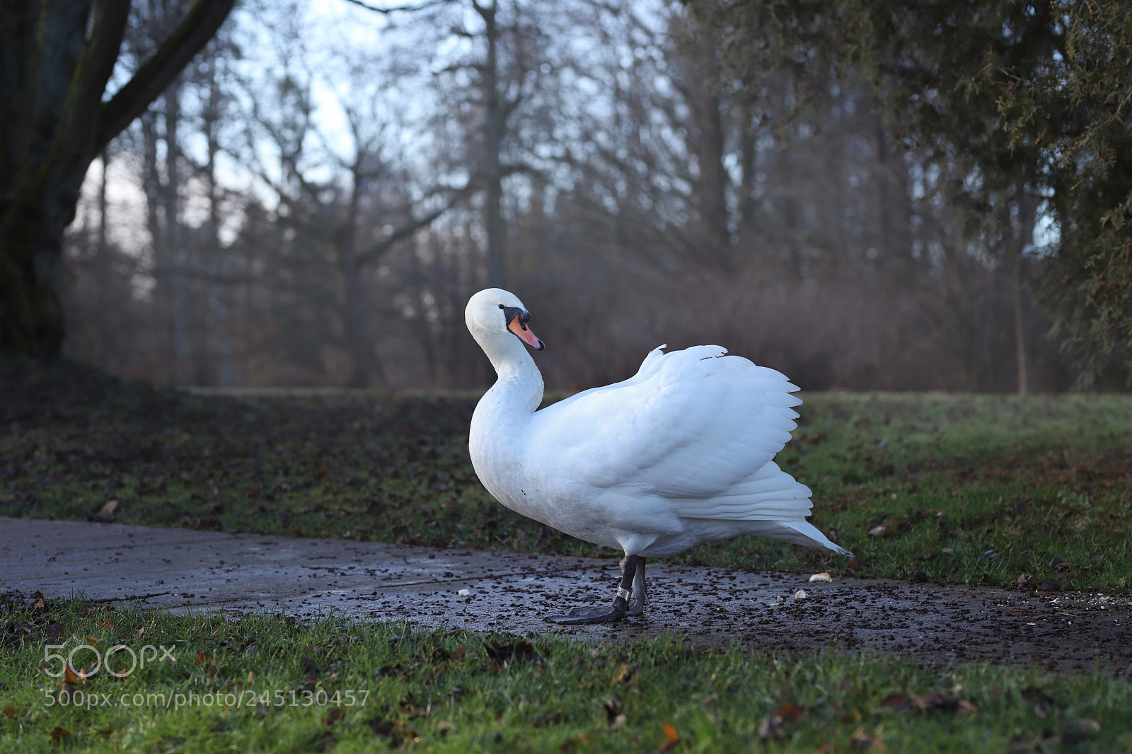 Canon EOS 6D Mark II sample photo. Img_0677....jpg photography