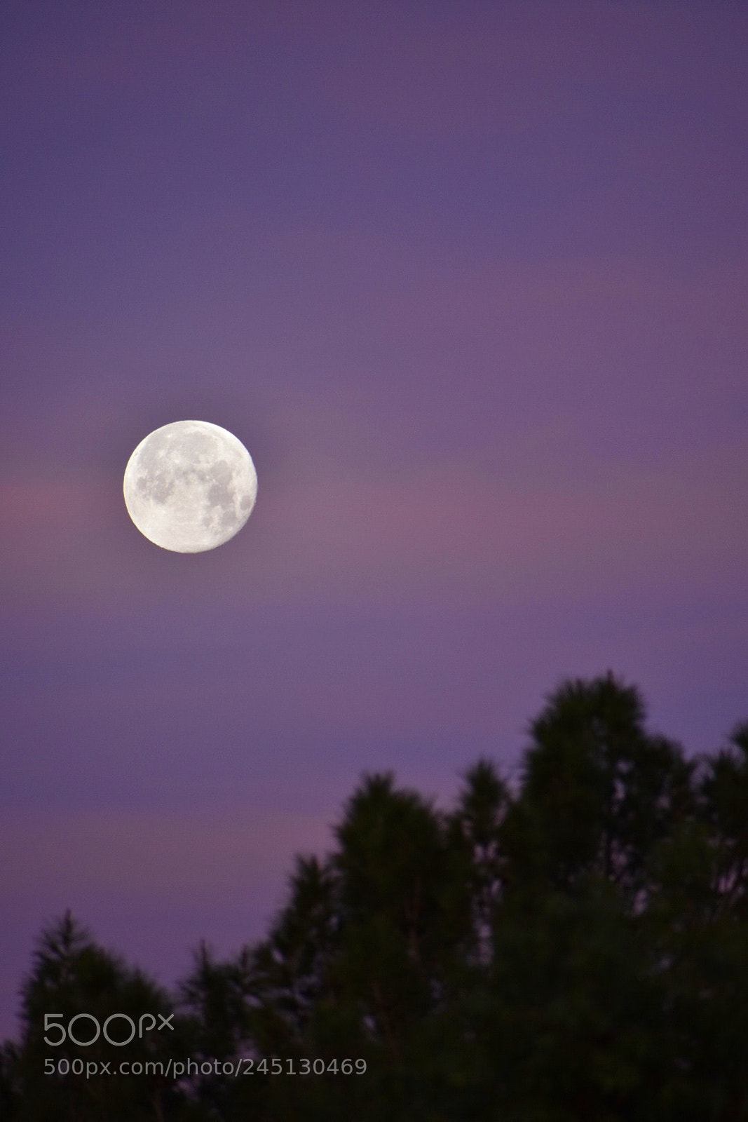 Nikon D3400 sample photo. The bright lit moon photography