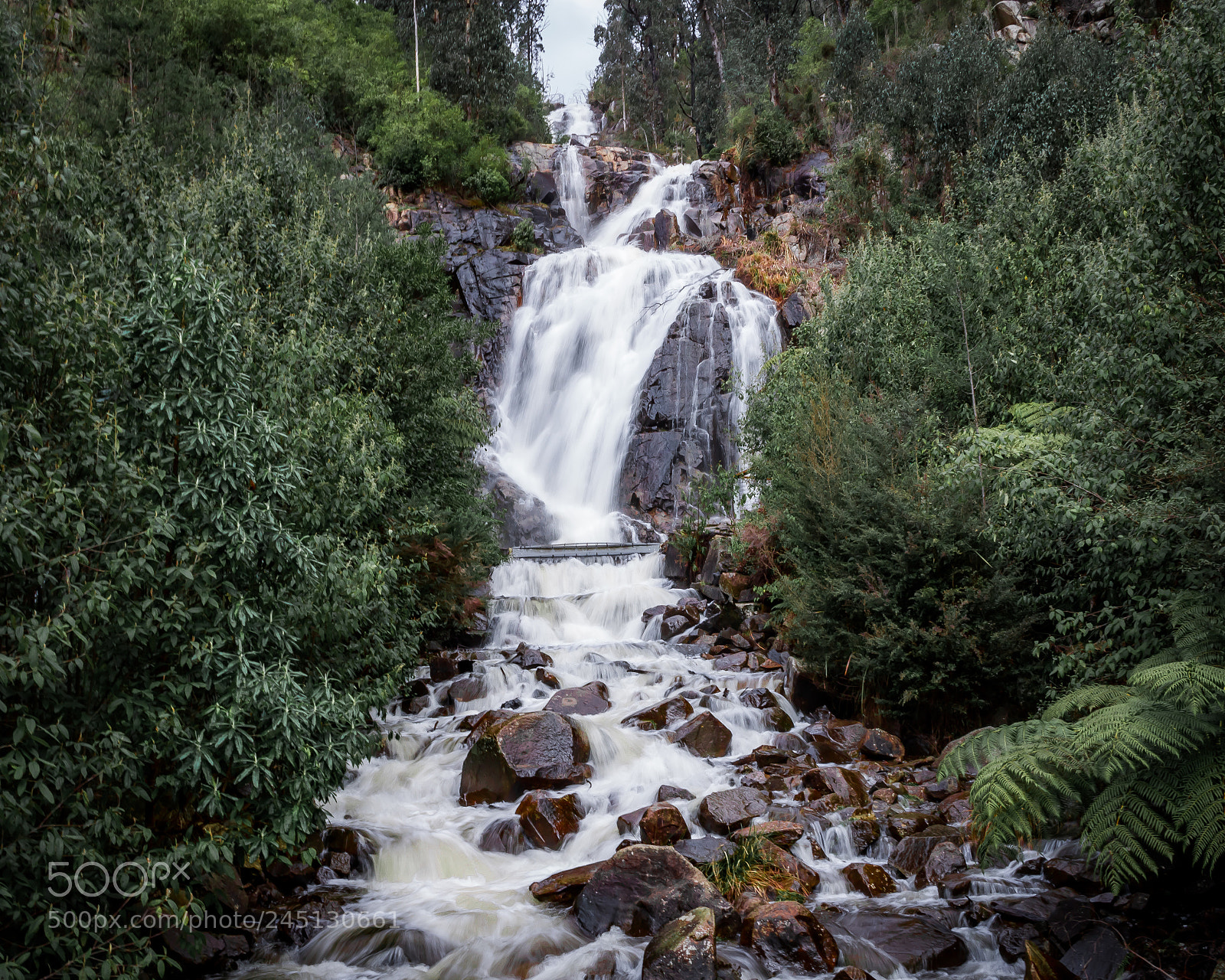 Canon EOS 760D (EOS Rebel T6s / EOS 8000D) sample photo. Steavenson falls photography