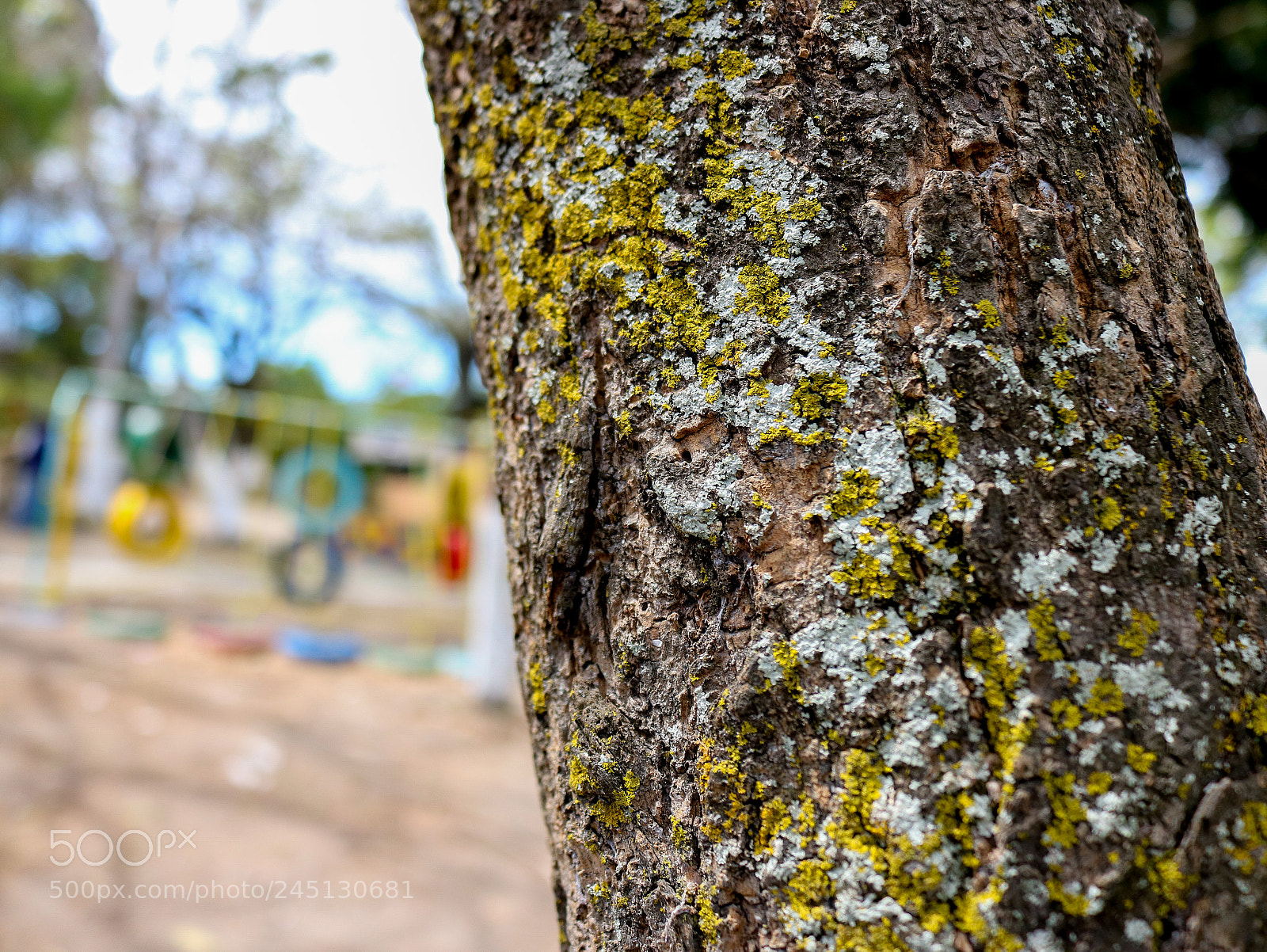 Canon EOS 750D (EOS Rebel T6i / EOS Kiss X8i) sample photo. Structure photography