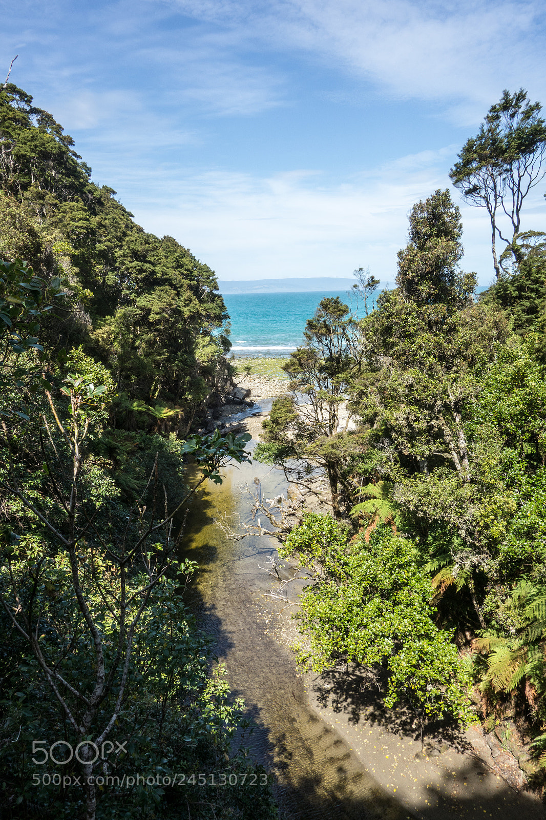 Sony Cyber-shot DSC-RX100 sample photo. Forest and sea photography