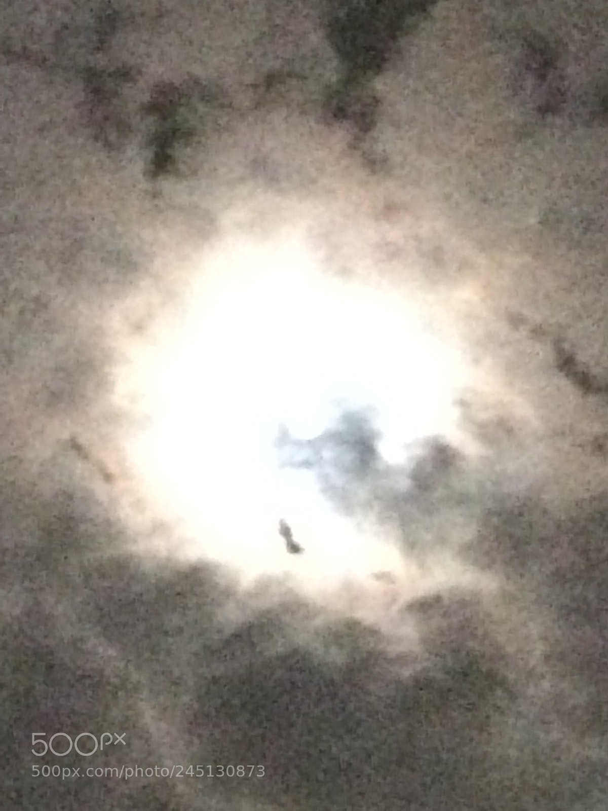 Apple iPhone 5s sample photo. Untitled photography