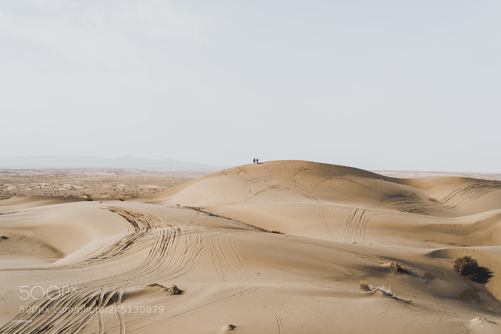 Nikon D610 sample photo. Mesr photography