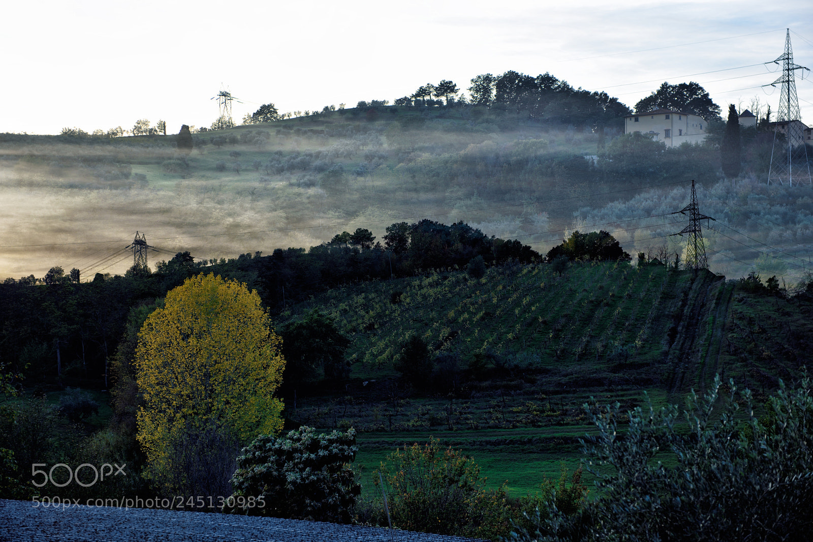 Nikon D810 sample photo. Photo overlay, florence xii photography