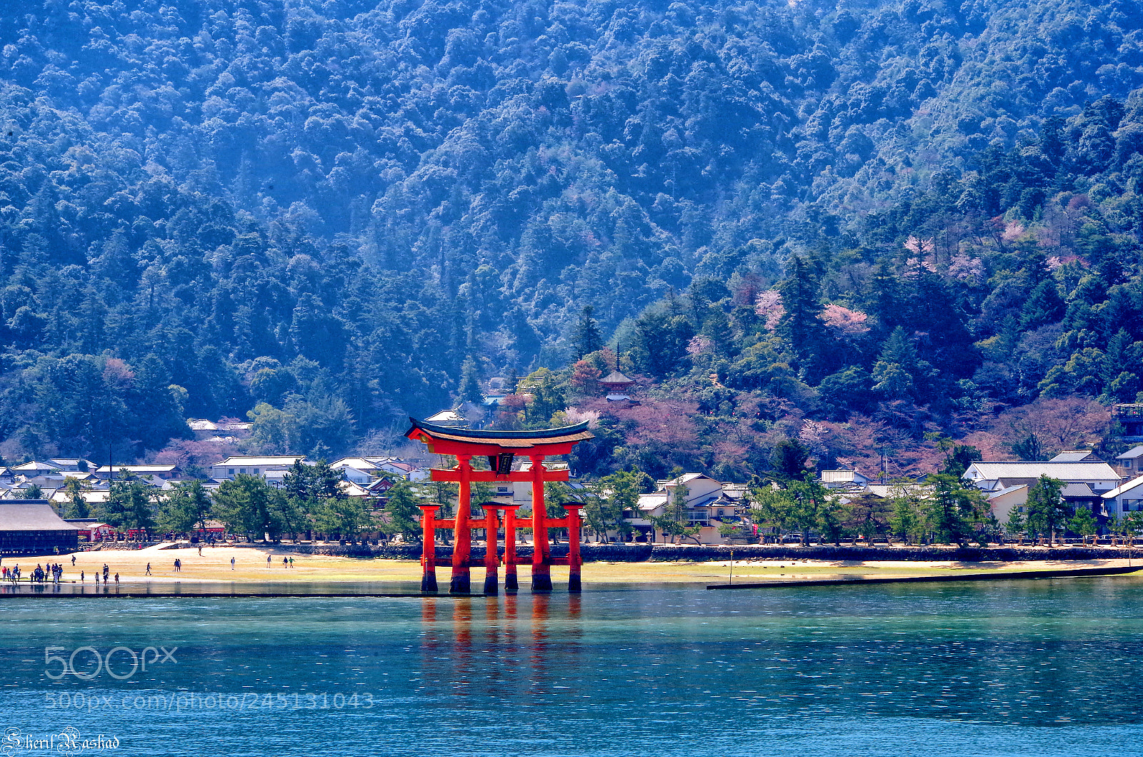 Pentax K-50 sample photo. The great torii photography
