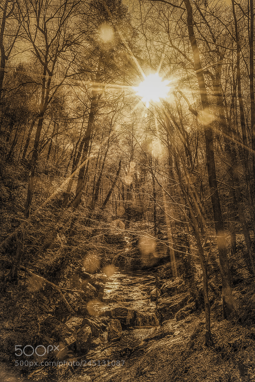 Sony a7R sample photo. Mill creek falls- sepia photography